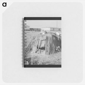 アートメモ帳-Untitled photo - ドロテア ラング Memo.