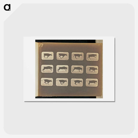 アートポストカード-Running
 - エドワード マイブリッジ Postcard.