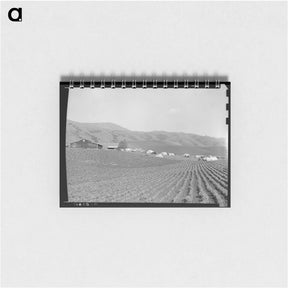 アートメモ帳-Ranch camp for pea pickers - ドロテア ラング Memo.