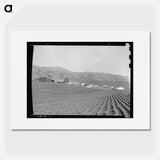 Ranch camp for pea pickers - Dorothea Lange Poster.