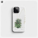 Aloe Rigida - Pierre Joseph Redouté Phone Case.