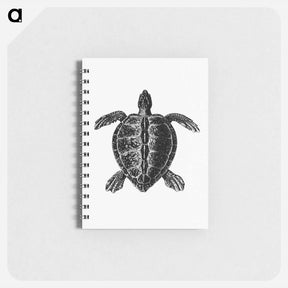 アートメモ帳-Victorian Turtle Engraving
 - 大英図書館 Memo.