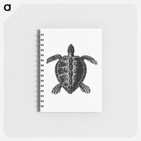 アートメモ帳-Victorian Turtle Engraving
 - 大英図書館 Memo.