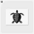 アートポストカード-Victorian Turtle Engraving
 - 大英図書館 Postcard.