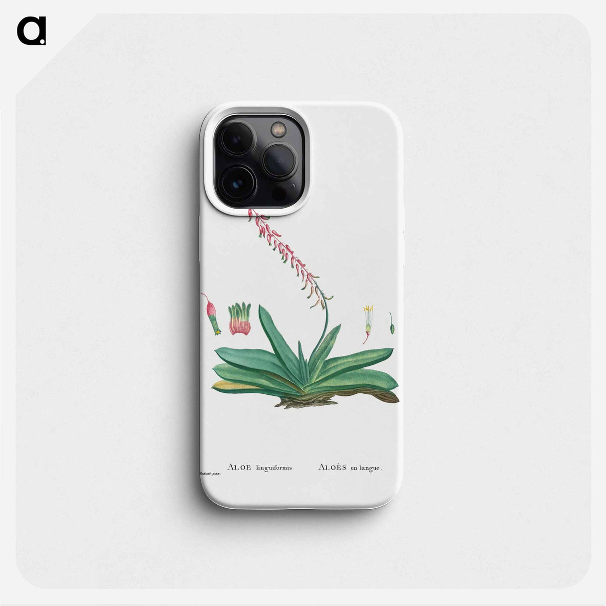 Aloe Linguiformis (Cow's Tongue) - Pierre Joseph Redouté Phone Case.