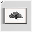アートポスター-Victorian Tree Engraving
 - 大英図書館 Poster.