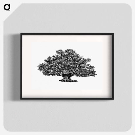 アートポスター-Victorian Tree Engraving
 - 大英図書館 Poster.