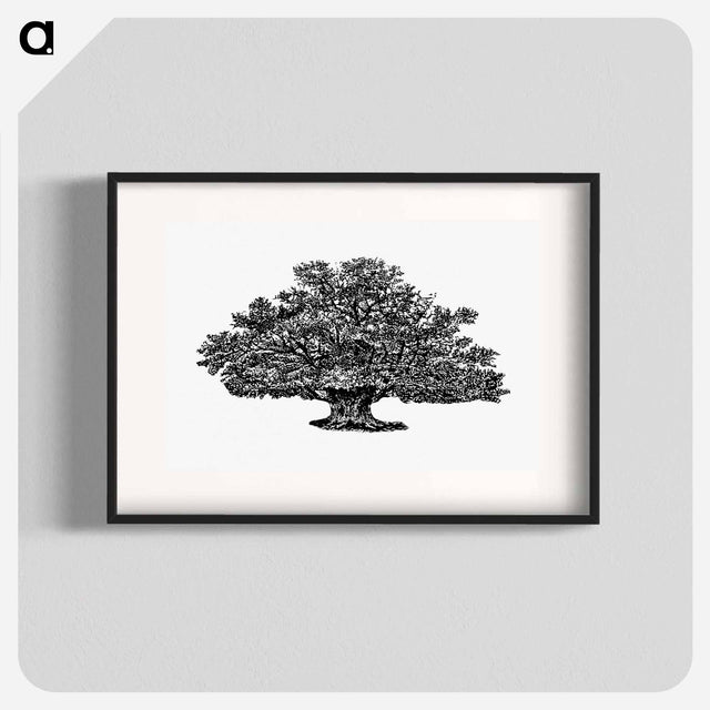 アートポスター-Victorian Tree Engraving
 - 大英図書館 Poster.