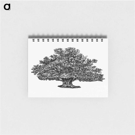 アートメモ帳-Victorian Tree Engraving
 - 大英図書館 Memo.