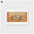 アートポストカード-Gravelly Beach at Pigeon Point
 - エドワード マイブリッジ Postcard.