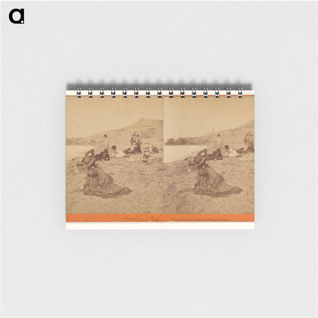 アートメモ帳-Gravelly Beach at Pigeon Point
 - エドワード マイブリッジ Memo.