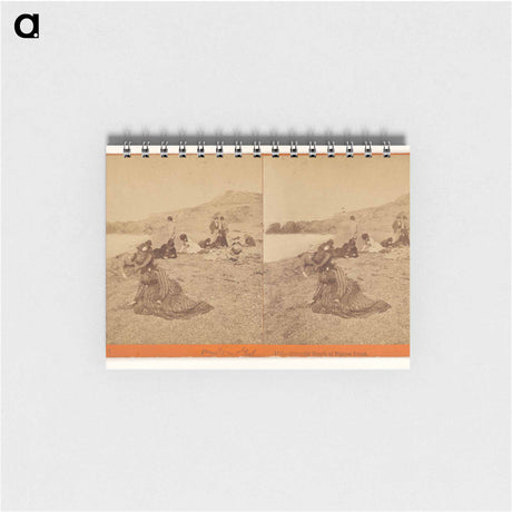 アートメモ帳-Gravelly Beach at Pigeon Point
 - エドワード マイブリッジ Memo.