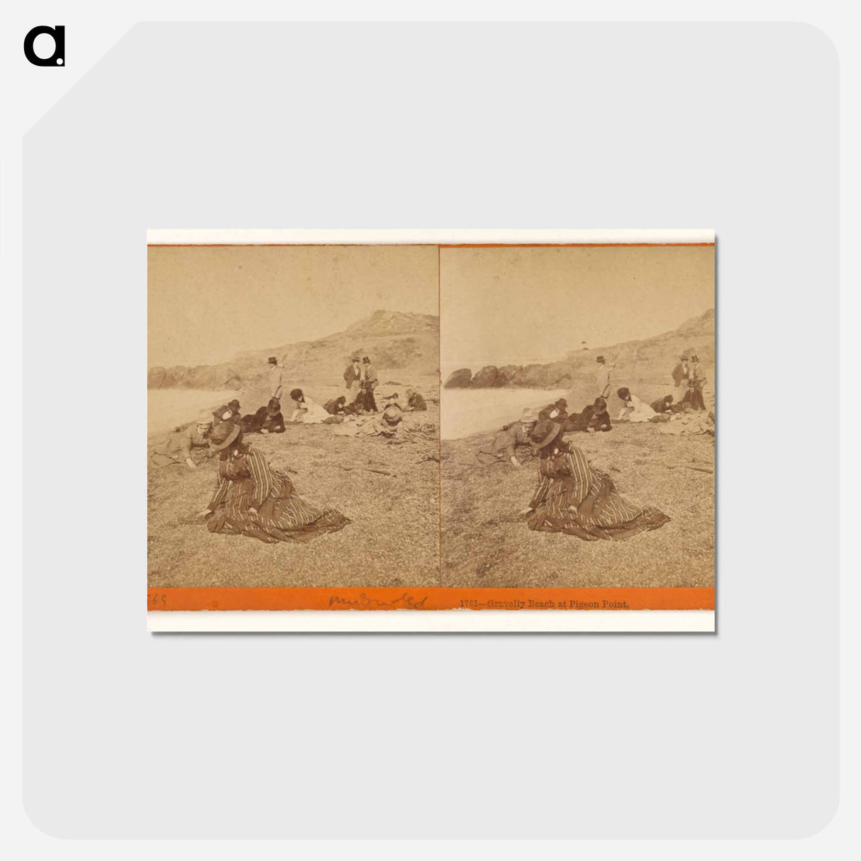 アートポストカード-Gravelly Beach at Pigeon Point
 - エドワード マイブリッジ Postcard.