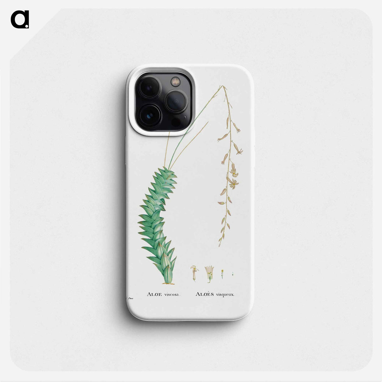 Aloe Viscosa - ピエール ジョゼフ ルドゥーテ Phone Case.