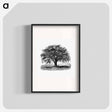 アートポスター-Tree Illustration from Account of the Centennial Celebration of the Town of West Springfield, Mass
 - 大英図書館 Poster.