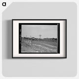 Untitled photo - Dorothea Lange Poster.