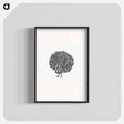 アートポスター-Peacock Engraving
 - 大英図書館 Poster.
