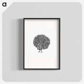 アートポスター-Peacock Engraving
 - 大英図書館 Poster.