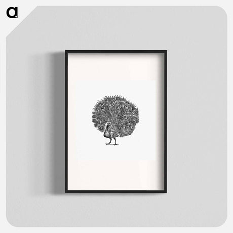 アートポスター-Peacock Engraving
 - 大英図書館 Poster.