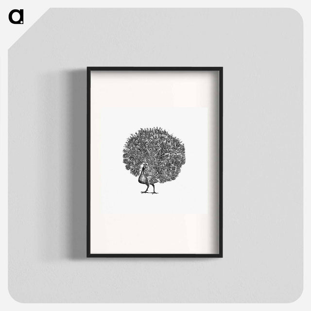 アートポスター-Peacock Engraving
 - 大英図書館 Poster.
