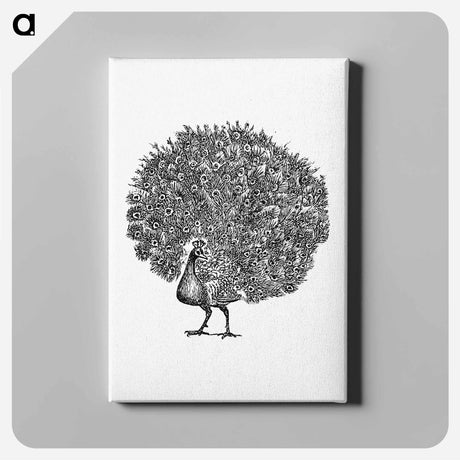 アートパネル-Peacock Engraving
 - 大英図書館 Canvas.