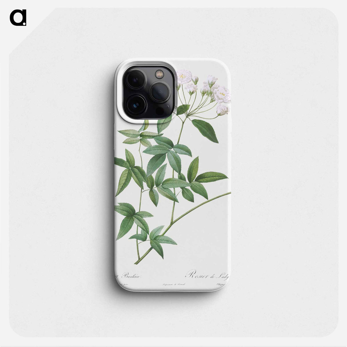 Lady Bank's rose - Pierre Joseph Redouté Phone Case.