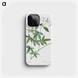 Lady Bank's rose - Pierre Joseph Redouté Phone Case.