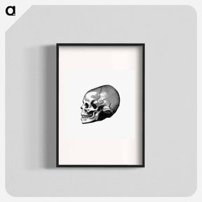 アートポスター-Victorian Skull Engraving
 - 大英図書館 Poster.