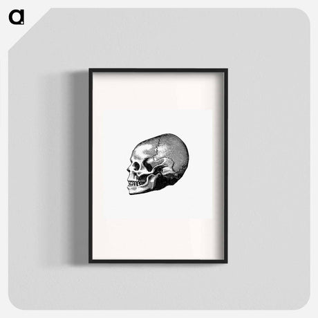 アートポスター-Victorian Skull Engraving
 - 大英図書館 Poster.