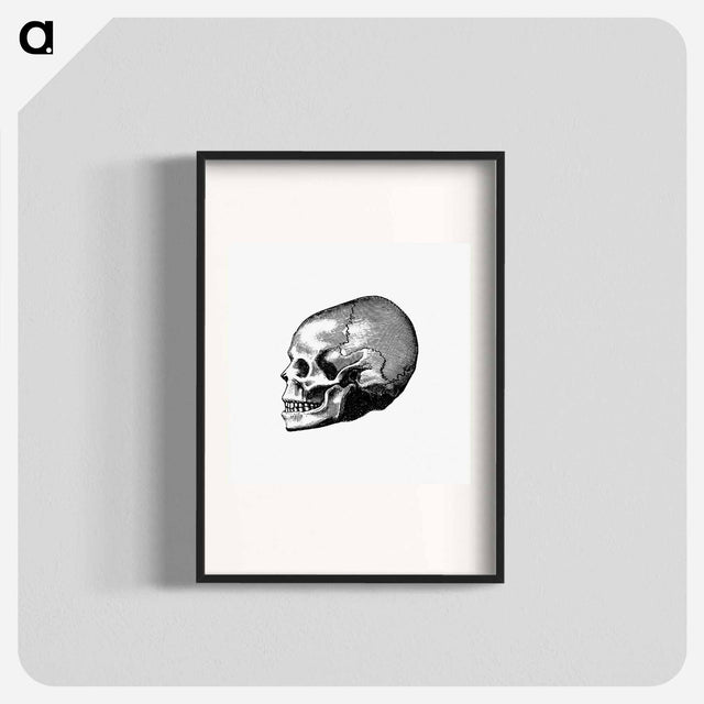 アートポスター-Victorian Skull Engraving
 - 大英図書館 Poster.