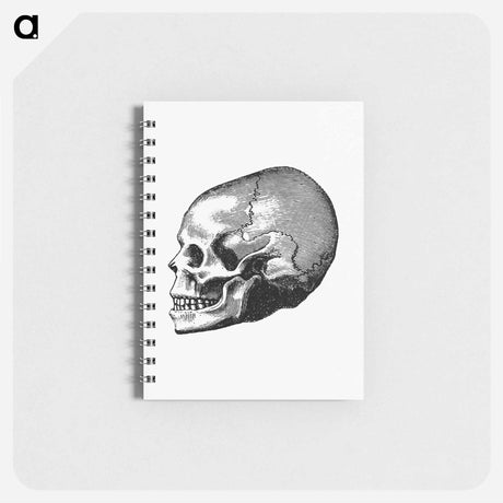 アートメモ帳-Victorian Skull Engraving
 - 大英図書館 Memo.