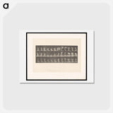 アートポストカード-The Shawl
 - エドワード マイブリッジ Postcard.