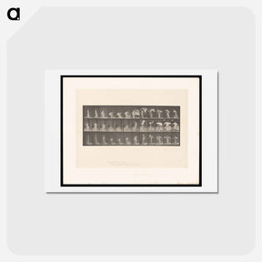 アートポストカード-The Shawl
 - エドワード マイブリッジ Postcard.