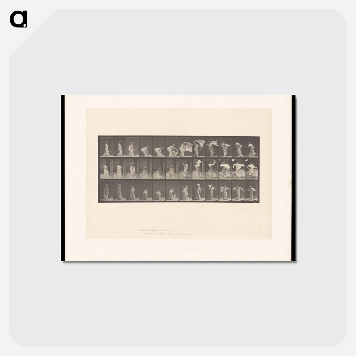 アートポストカード-The Shawl
 - エドワード マイブリッジ Postcard.