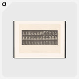 アートポストカード-The Shawl
 - エドワード マイブリッジ Postcard.