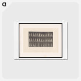 アートポストカード-The Falling Handkerchief
 - エドワード マイブリッジ Postcard.