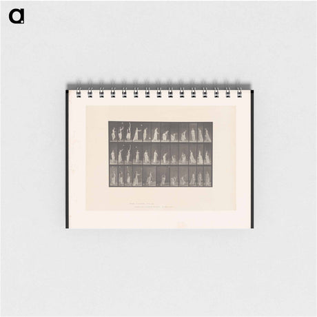 アートメモ帳-The Falling Handkerchief
 - エドワード マイブリッジ Memo.