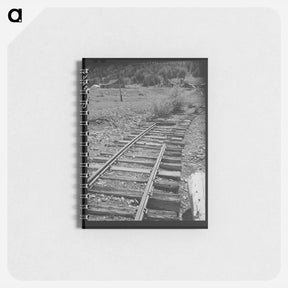 アートメモ帳-Bulldogging at San Angelo
 - ラッセル リー Memo.