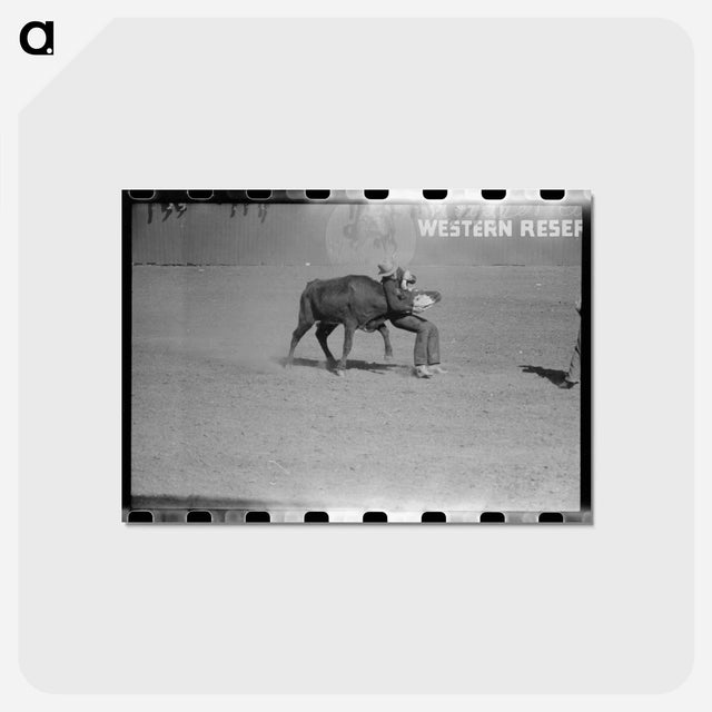 アートポストカード-Bulldogging at San Angelo
 - ラッセル リー Postcard.