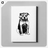 アートパネル-Dog Engraving from The New Hyperion
 - 大英図書館 Canvas.