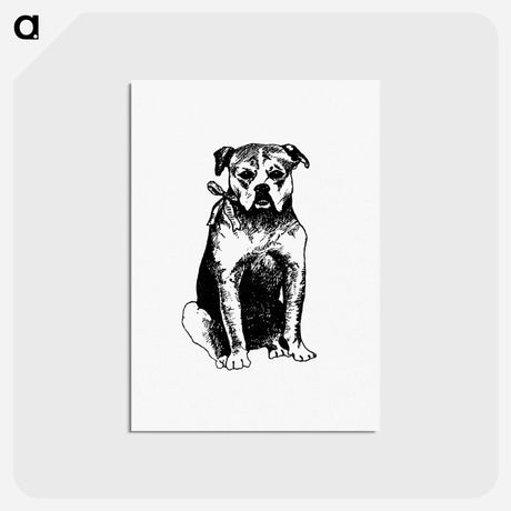 アートポストカード-Dog Engraving from The New Hyperion
 - 大英図書館 Postcard.