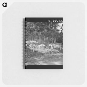 アートメモ帳-Oregon, Marion County, near West Stayton - ドロテア ラング Memo.