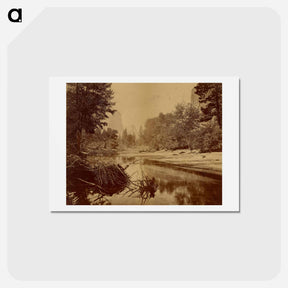 アートポストカード-Sylvan Bar. - Valley of the Yosemite
 - エドワード マイブリッジ Postcard.