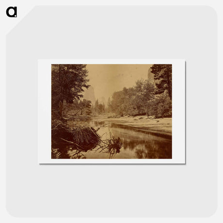 アートポストカード-Sylvan Bar. - Valley of the Yosemite
 - エドワード マイブリッジ Postcard.