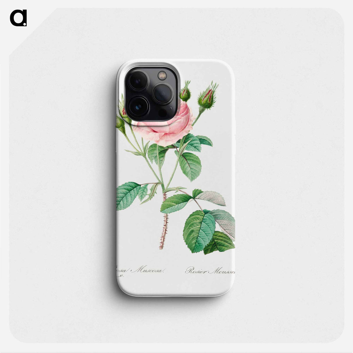 Cabbage rose - ピエール ジョゼフ ルドゥーテ Phone Case.