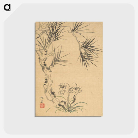 アートポストカード-Pine Tree and Fungus
 - クリーブランド美術館 Postcard.