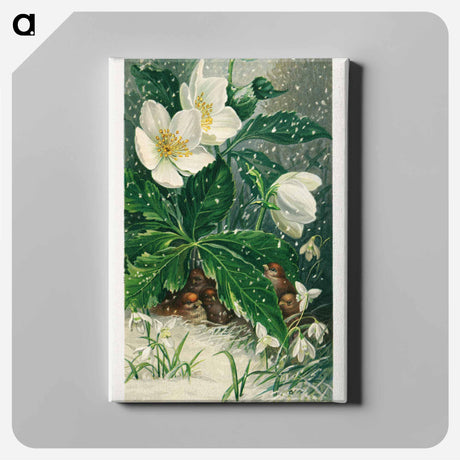 アートパネル-Birds and Winter Flowers
 - ボストン公共図書館 Canvas.