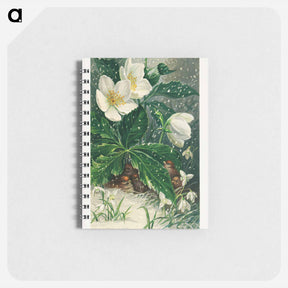 アートメモ帳-Birds and Winter Flowers
 - ボストン公共図書館 Memo.