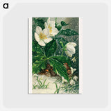 アートポストカード-Birds and Winter Flowers
 - ボストン公共図書館 Postcard.