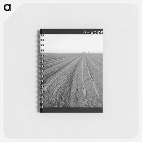 アートメモ帳-Untitled photo - ドロテア ラング Memo.